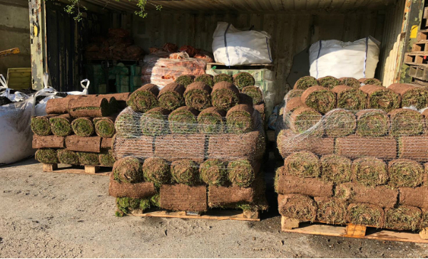 turf 600x364 turf 600x364